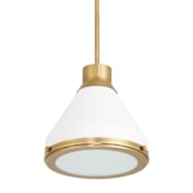 Thesis Doyle 1 Light 13" Wide Pendant with Matte White Metal Shade Natural Brass