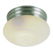 Trans Globe Lighting Dellwood 2 Light Flush Mount Ceiling Fixture Brushed Nickel