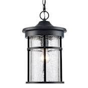 Trans Globe Lighting Crackled 1 Light Outdoor Lantern Pendant Black