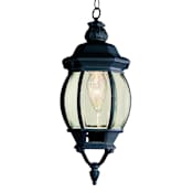 Trans Globe Lighting Single Light Down Lighting Small Outdoor Pendant from the Outdoor Collection Black