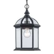 Trans Globe Lighting Botanica 1 Light Outdoor Small Single Pendant Black
