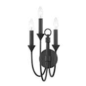Troy Lighting Cate 3 Light 18" Tall Wall Sconce Forged Iron