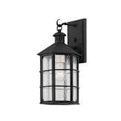 Troy Lighting Lake County 15" Tall Outdoor Wall Sconce French Iron