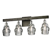 Troy Lighting Citizen 4 Light 22-3/4" Wide Bathroom Vanity Light with Glass Shades Graphite / Polished Nickel
