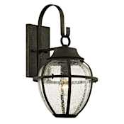 Troy Lighting Bunker Hill Single Light 18-1/4" Tall Outdoor Wall Sconce with Seedy Glass Onion Shade Vintage Bronze