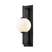 Troy Lighting Darwin 24" Tall Outdoor Wall Sconce Textured Black