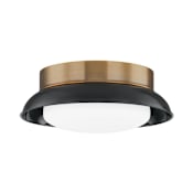 Troy Lighting Arnie 2 Light 15" Wide Flush Mount Ceiling Fixture Patina Brass / Glossy Black