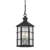 Troy Lighting Lake County 4 Light 12" Wide Outdoor Pendant French Iron