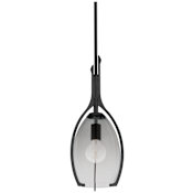Troy Lighting Pacifica 9" Wide Mini Pendant Forged Iron