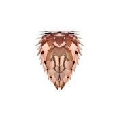 UMAGE Conia 15.7" Wide Shade - Installation Kit Not Included Copper