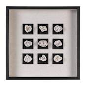 Uttermost Geode 21 5/8 Inch x 21 5/8 Inch Shadow Box by Grace Feyock Black