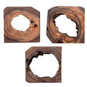 Uttermost Adlai Wood Trees Wall Art - Set of 6 Rich Coffee Brown