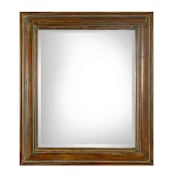 Uttermost Darian 36" W x 42" H Rectangular Framed Accent Mirror Dark Brown