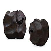 Uttermost 10.25" Tall Ember Root Teak Sculpture - Set of 2 Black