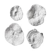 Uttermost Sea Coral Four Piece Wall Sculpture Set by Grace Feyock Antique White