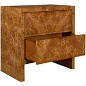 Uttermost Indus 30" Wide 2 Drawer Acacia Cabinet Burl