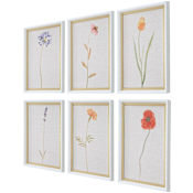 Uttermost Wild Flourish 20" x 14" Framed Floral Graphic Print - Set of 6 Multicolored