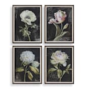 Uttermost Florals On Black 26" x 20" Framed Floral Painting Multicolored