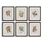 Uttermost Orchid 25" x 21" Framed Floral Painting Multicolored