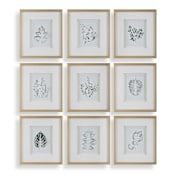 Uttermost Natures 18" x 16" Framed Botanical Painting Multicolored