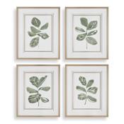 Uttermost Fiddle Head 34" x 28" Framed Botanical Painting Multicolored