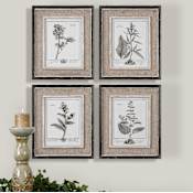 Uttermost Casual Grey Study Set of (4) Botanical Plant Prints Wall Art Decor Artwork Reproduction