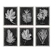 Uttermost Botanical 25-3/4" Wide Canvas Art by Grace Feyock Champagne Silver