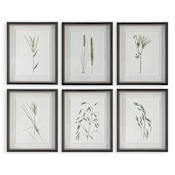 Uttermost Forest Finds 22" x 18" Framed Botanical Graphic Print - Set of 6 Multicolored