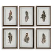 Uttermost Birds Of A Feather 20" x 15" Framed Animals Graphic Print - Set of 6 Multicolored