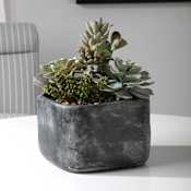 Uttermost Alverio 10" Wide Contemporary Desert Garden Succulent Artificial Plant Gray / Green