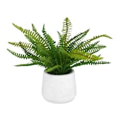 Uttermost Boston Fern 14" Tall Ceramic Faux Flora Planter White