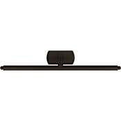Visual Comfort Lamont 20" Wide LED Picture Light Aged Iron