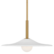 Visual Comfort Endicott 16" Wide Pendant Burnished Brass