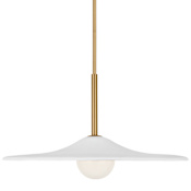 Visual Comfort Endicott 24" Wide Pendant Burnished Brass