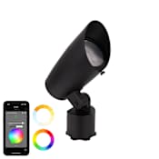 WAC Lighting Single Colorscaping 8" Wide 12V LED Flood Light Black