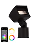 WAC Lighting Single Colorscaping 4" Wide 12V LED Wall Wash Light Black