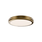 WAC Lighting Parthenon 10" Wide LED Flush Mount Ceiling Fixture / Converts to Wall Sconce Aged Brass