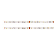 WAC Lighting InvisiLED Basics 100ft. 3000K 24V LED Tape Light - 250 Lumens Per Foot White