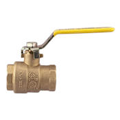 Watts 1" 2-Piece Full Port Ball Valve with NPT Connections N/A