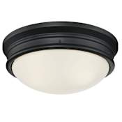 Westinghouse Meadowbrook 2 Light 13" Wide Flush Mount Bowl Ceiling Fixture Matte Black