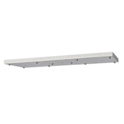 Z-Lite Canopy 42" Wide with 17 Ports Brushed Nickel