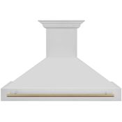 ZLINE Autograph Edition 280 - 700 CFM 48 Inch Wide Outdoor Wall Mounted Range Hood with Cosmetic Handle and LED Lights Stainless Steel / Champagne Bronze