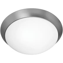 Brushed Steel