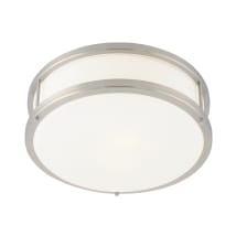 Brushed Steel / Opal