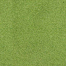 Fairway Green