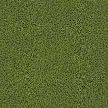 Willow Green