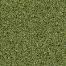 Willow Green