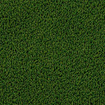 Willow Green