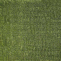 Lushscape Green