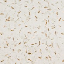 Calacatta Gold